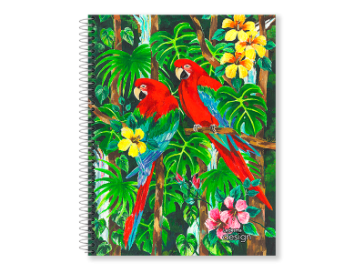 Cuad.ledesma Design 22/29 *84H Ry