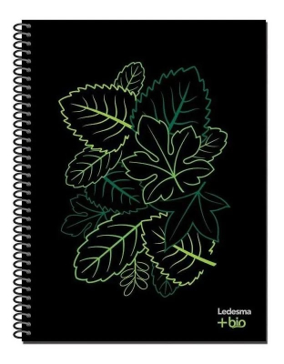 Cuad.bio Caña 21/27 *84H Cuadro