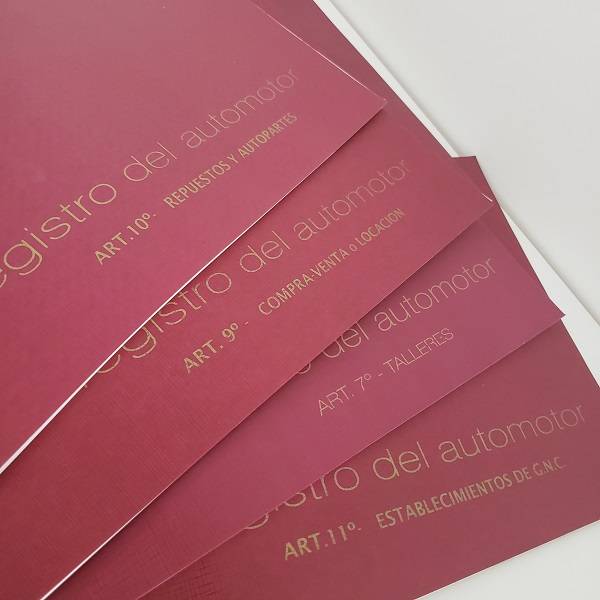 Registro Automotor Tf Rab 2319