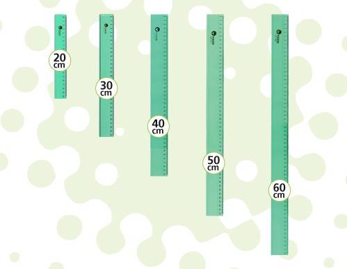 Regla Pizzini Verde 1732 50Cms