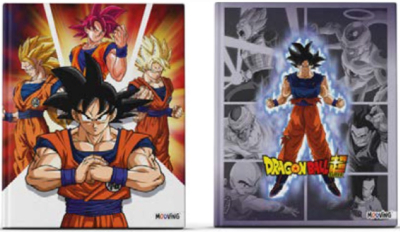Cuad.td 19,5*24 *48H Dragon Ball 25