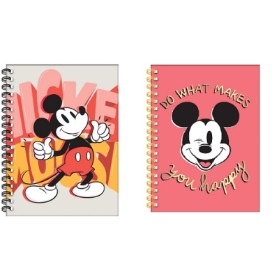 Cuad.td 16*21 *80H Esp.mickey 2025