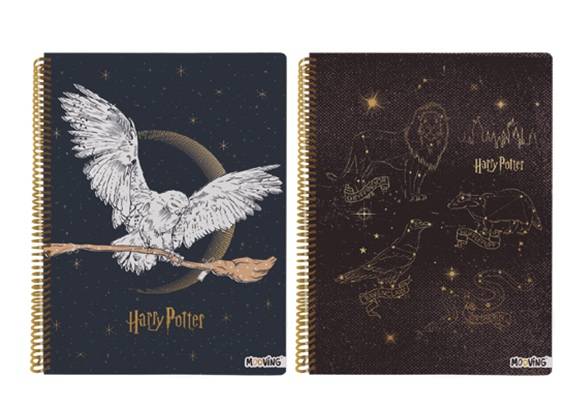 Cuad.univer.mooving H.potter 2026