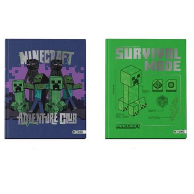 Cuad.td 19,5*24 *48H Minecraft 2027