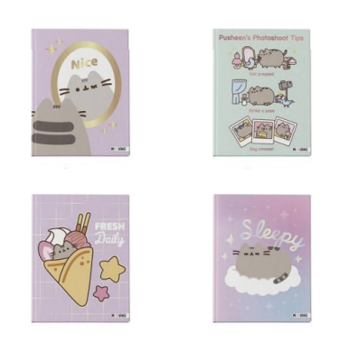 Cuad.td *48H 16*21 Pusheen 2027