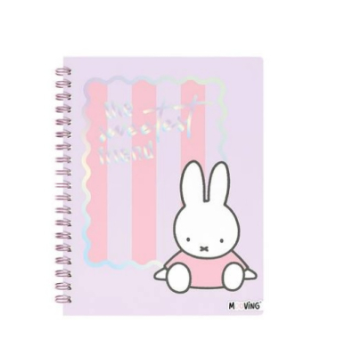 Cuad.td 16*21 *80H Esp.miffy  2027