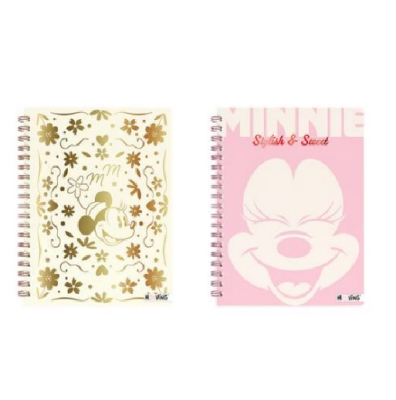 Cuad.td 16*21 *80H Esp.minnie 2027
