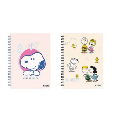 Cuad.td 16*21 *80H Esp.snoopy 2027
