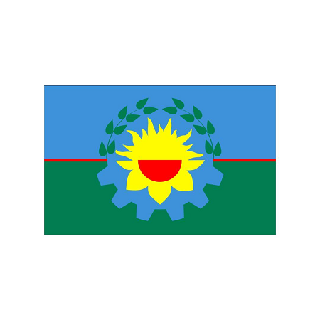 Bandera Milenio Bonaerense 60X96